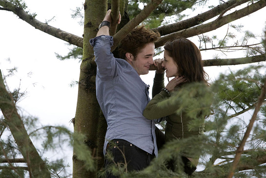 10 Reasons Why We Love Twilight!