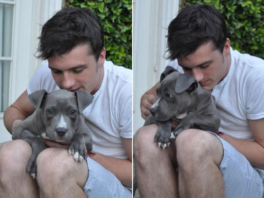 Josh Adopts a Puppy!