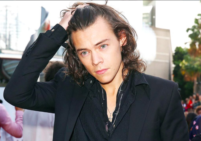 IS Harry Styles Next in Line to Leave One Direction?
