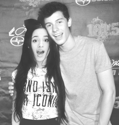 Would Shawn Mendes and Camila Cabello Make A Cute Couple?