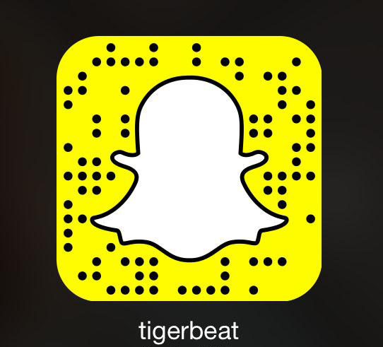 Our <em>Tiger Beat</em> Snap Stories!