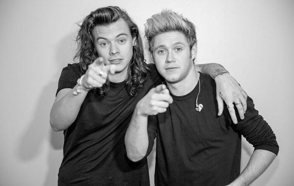 Harry Styles And Niall Horan Have An Announcement!
