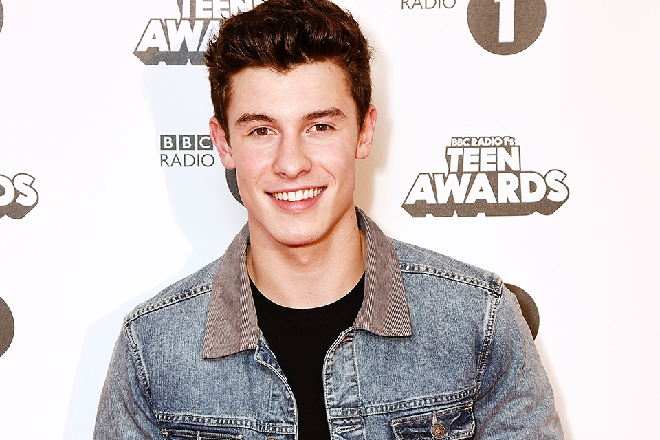 Quiz: Which Type of Shawn Mendes Fan Are You?