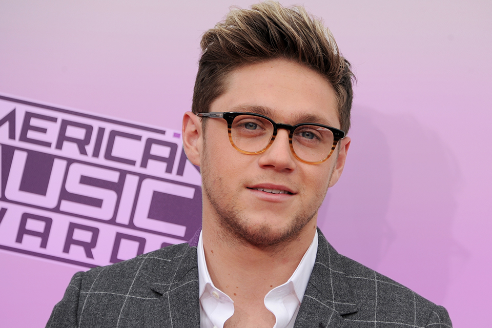 Quiz: Are These Niall Horan Facts True?