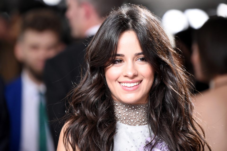 Camila Cabello Teases Her New Song With Pitbull!