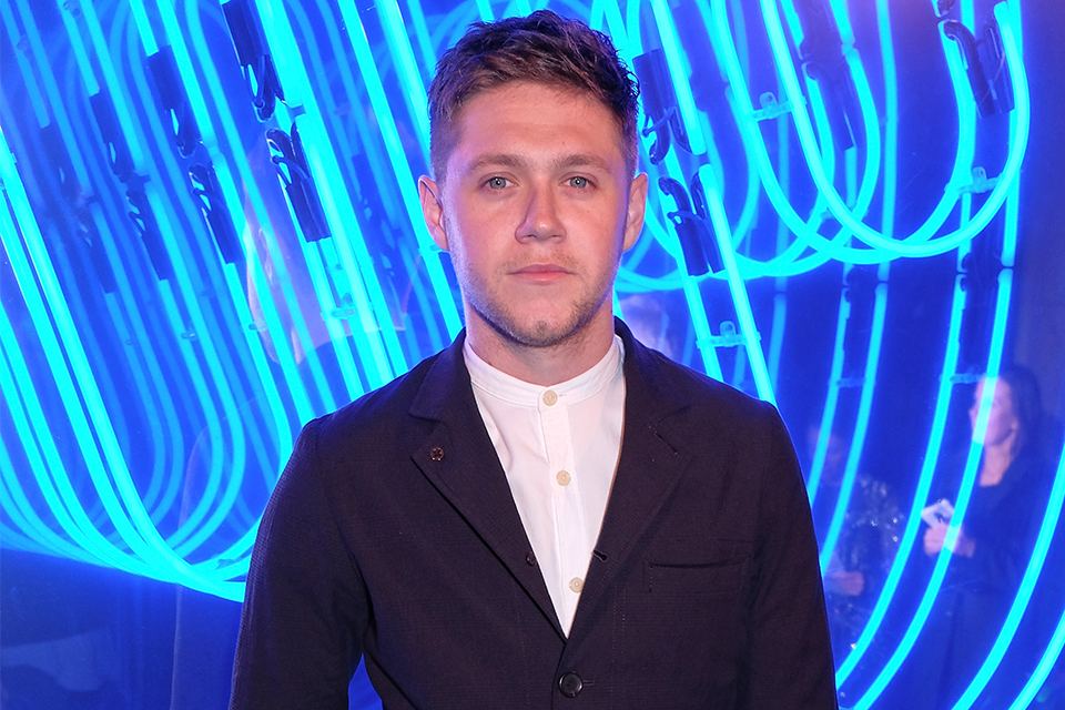 Is Niall Horan Going On Tour?!