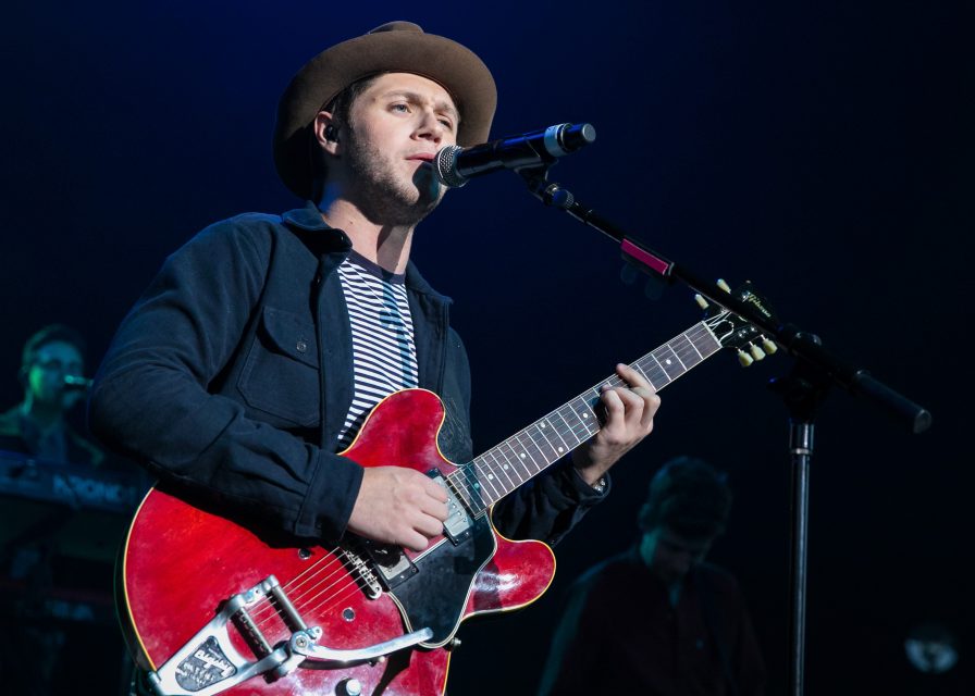 This Musician ‘Can’t Wait’ For Niall Horan’s Album