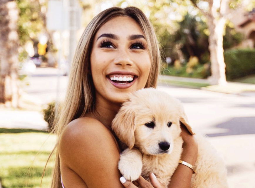 Quiz: Which Puppy is Perfect for Your Personality?