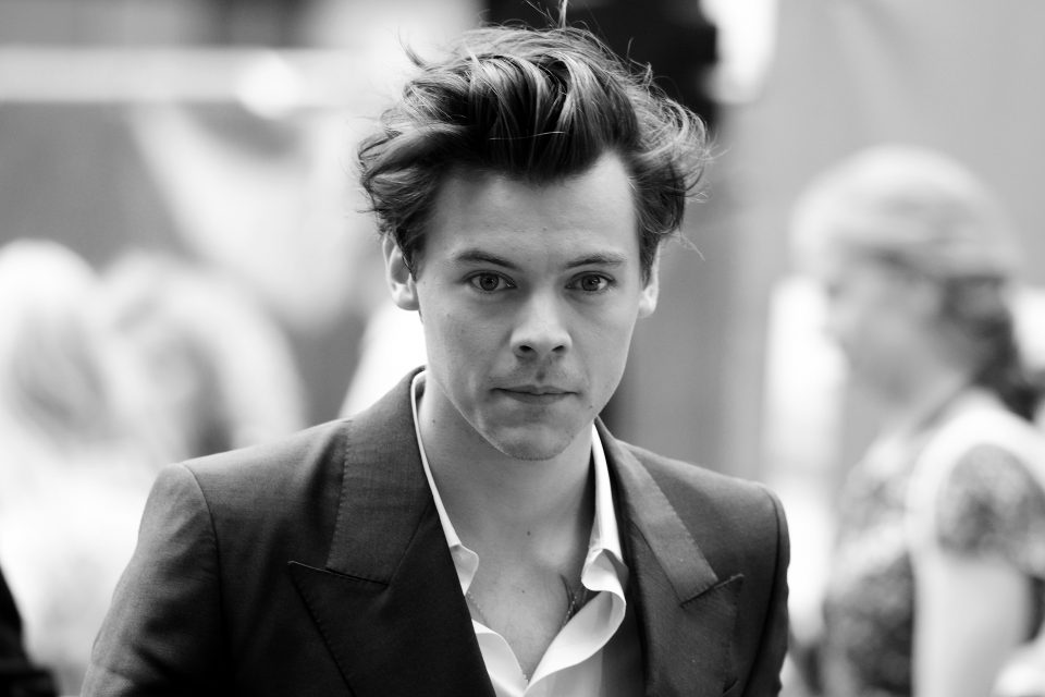This Celeb Does NOT Want to Date Harry Styles!