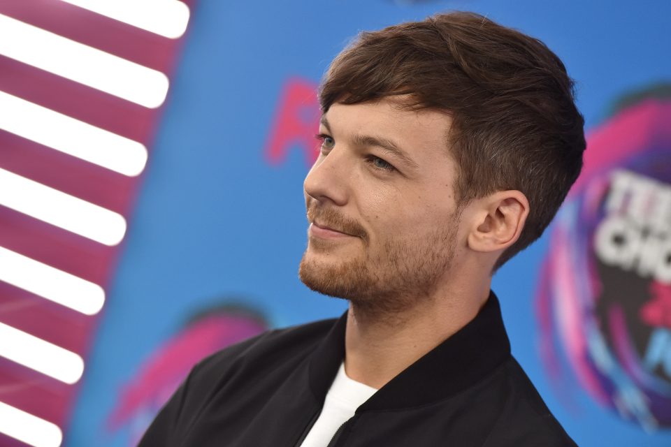 Louis Tomlinson Donates $10,000 to Help a Young One Direction Fan