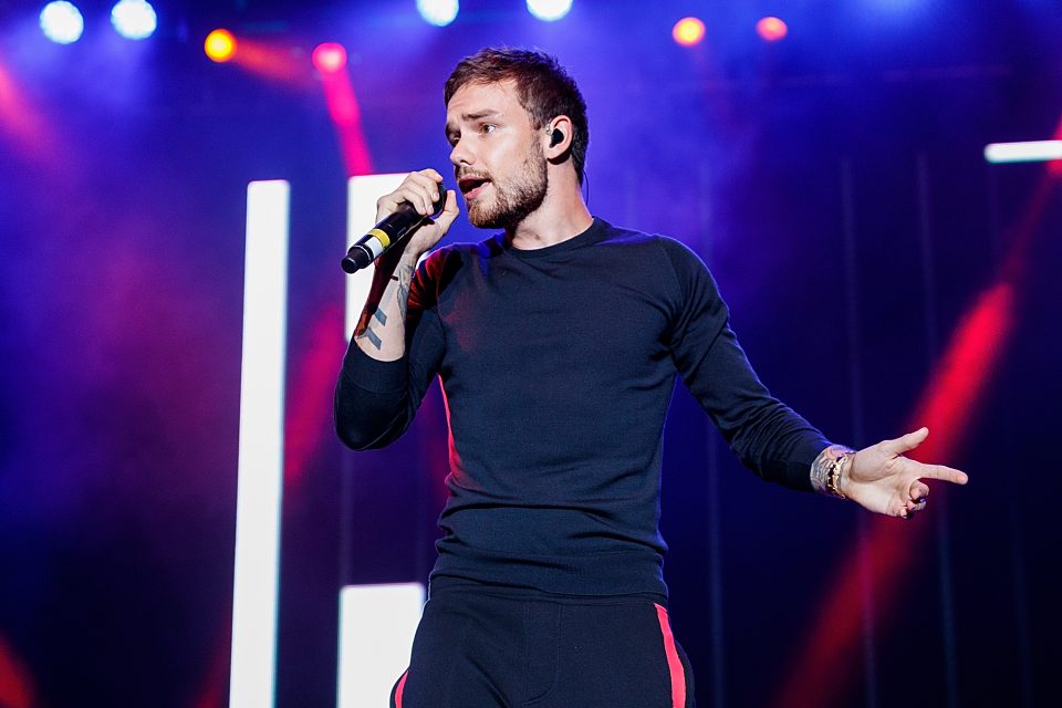 Liam Payne Emotionally Covers ‘What About Us’