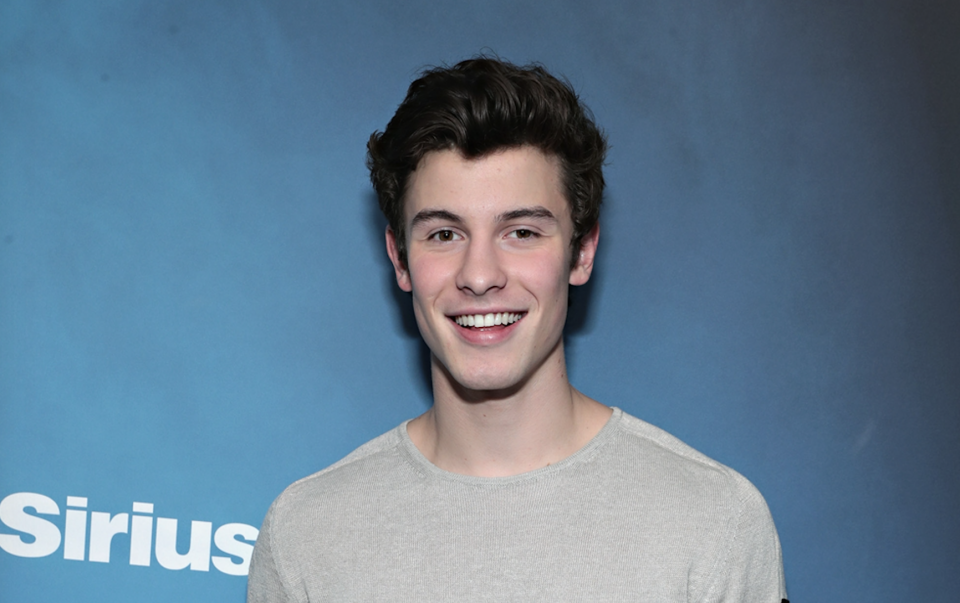 This Shawn Mendes Music Video Evolution Will Have You In Your Feels