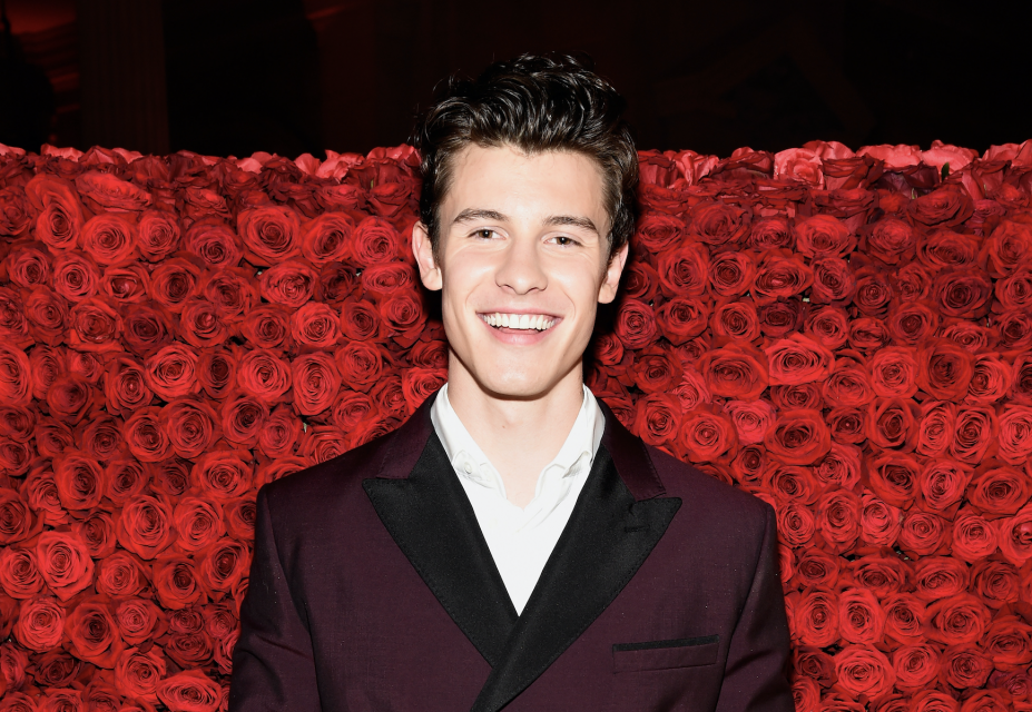 Shawn Mendes Opens Up About How Special ‘In My Blood’ is to Him