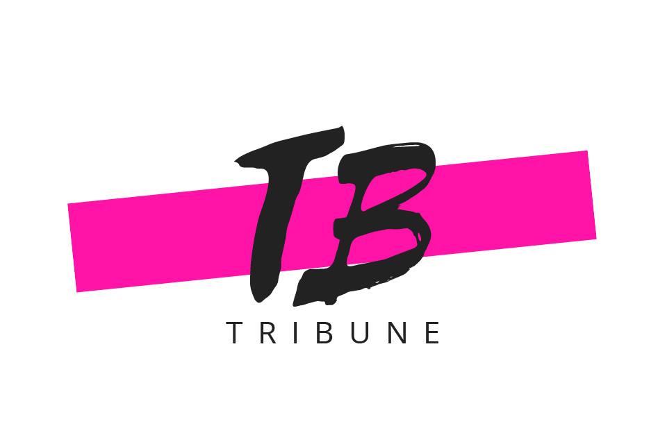 Introducing the TB Tribune, Written by Your Favorite Stars